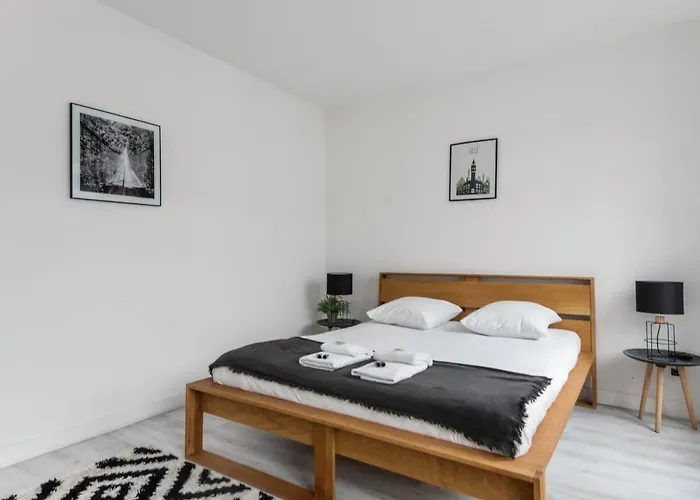 Poppy-idealement Situe Entre Gare Gdpalais&centre * Lilla